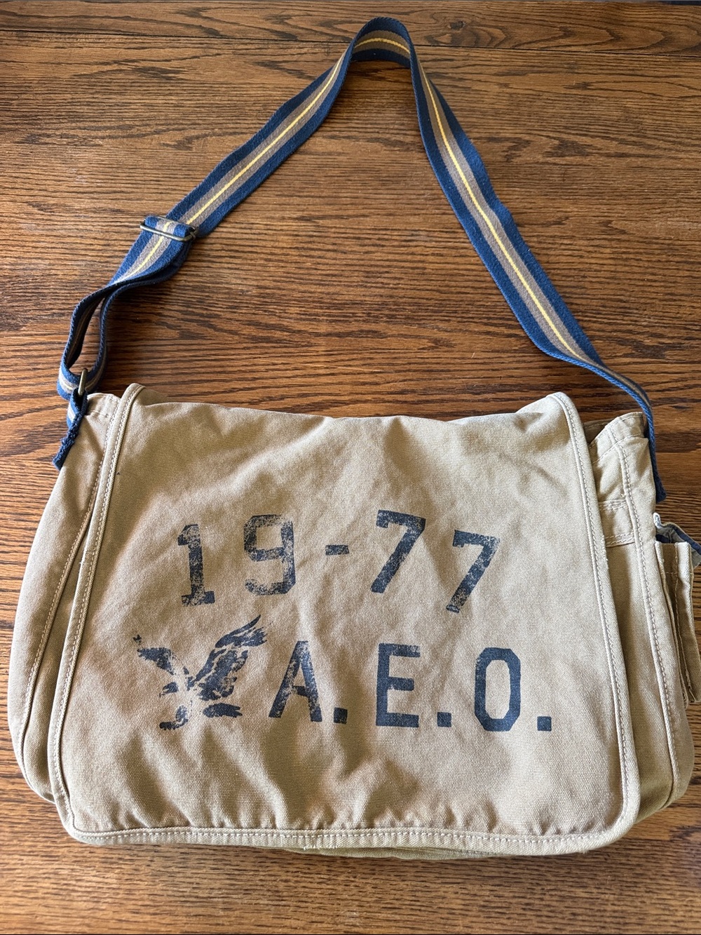Y2K Canvas Messenger Laptop Bag Utility Crossbody American Eagle 1977